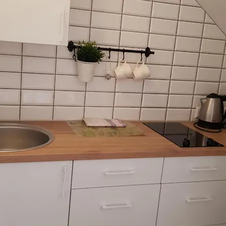 Deluxe Apartment *